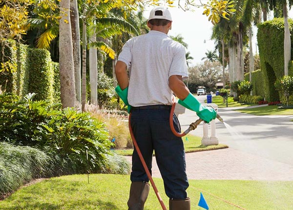 About Lorida FL Pest Control